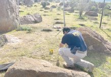 Cráneo es hallado entre rocas en sector de Punitaqui