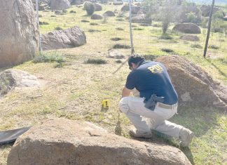 Cráneo es hallado entre rocas en sector de Punitaqui