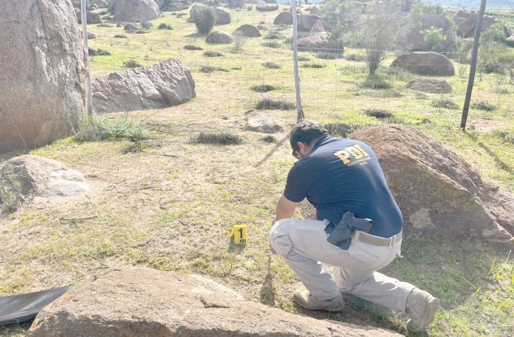 Cráneo es hallado entre rocas en sector de Punitaqui