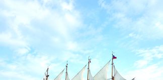 «Dama Blanca» hizo pasarela por la costa frente a bahía de Coquimbo
