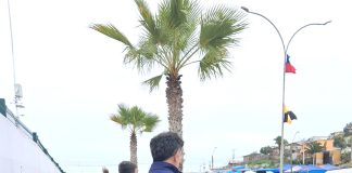 Operativo de fiscalización migratoria en La Pampilla deja 11 denuncias y una detención