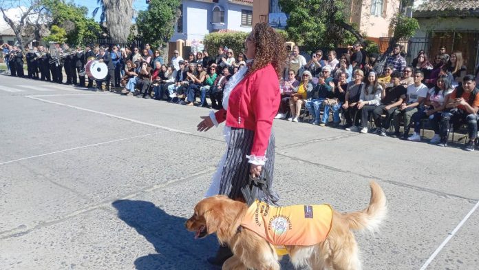 3a copia