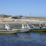 Mal estado de caminos y falta de agua potable en caletas rurales