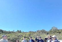 Los desafíos para renacer en el Parque Nacional Bosque Fray Jorge