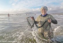 Estudio de salud confirma que mariscos de áreas de manejo de Caleta San Pedro se pueden consumir