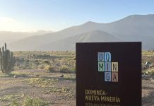 Dominga: Andes Iron desiste ante la Suprema y abre paso a nueva etapa administrativa