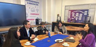 Seremi de Ciencia invita a Institutos Profesionales y Centros de Formación Técnica a postular al Concurso de Fomento a la Vinculación Internacional
