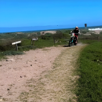 Motocicletas amenazan la nidificación de aves en el humedal del río Elqui