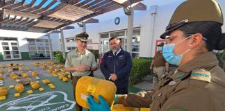 Gobierno destaca decomiso de más de $2.200 millones en droga en Coquimbo en vísperas de Fiestas Patrias