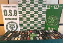 Carabineros desbarata banda criminal en La Pampilla con 6 detenidos de nacionalidad peruana y 88 celulares recuperados