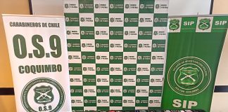 Carabineros desbarata banda criminal en La Pampilla con 6 detenidos de nacionalidad peruana y 88 celulares recuperados