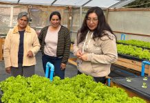 Gobierno prepara paquete ProPyme que podría beneficiar a más de 44 mil empresas de la Región de Coquimbo