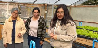 Gobierno prepara paquete ProPyme que podría beneficiar a más de 44 mil empresas de la Región de Coquimbo