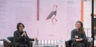 La Serena tendrá tres días de libros y literatura con la 7ª Feria Feminista del Libro Región de Coquimbo