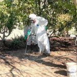 Mosca de la fruta mantiene nueve focos activos