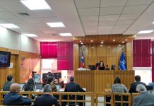 Papaya Gate: Corte mantiene abierta investigación contra empresario por fraude al fisco