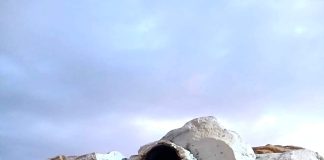 Indignación en población Santa Marta por el robo de histórica Virgen desde su gruta