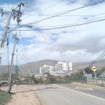 El viento derribó árboles y provocó cortes de luz