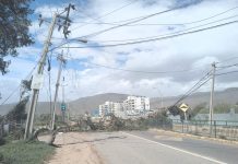 El viento derribó árboles y provocó cortes de luz