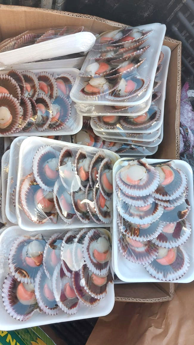 8bs